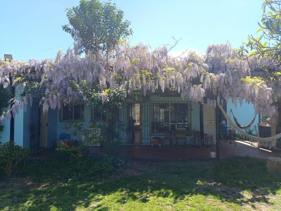 Casa Quinta Con Pileta Villa Chascomus Exterior photo